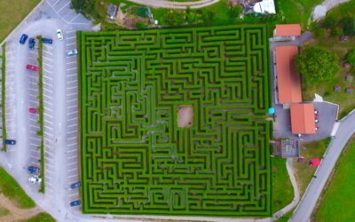 El Laberinto de Villapresente: un enigma verde a solo 3 km del Hotel Museo Los Infantes